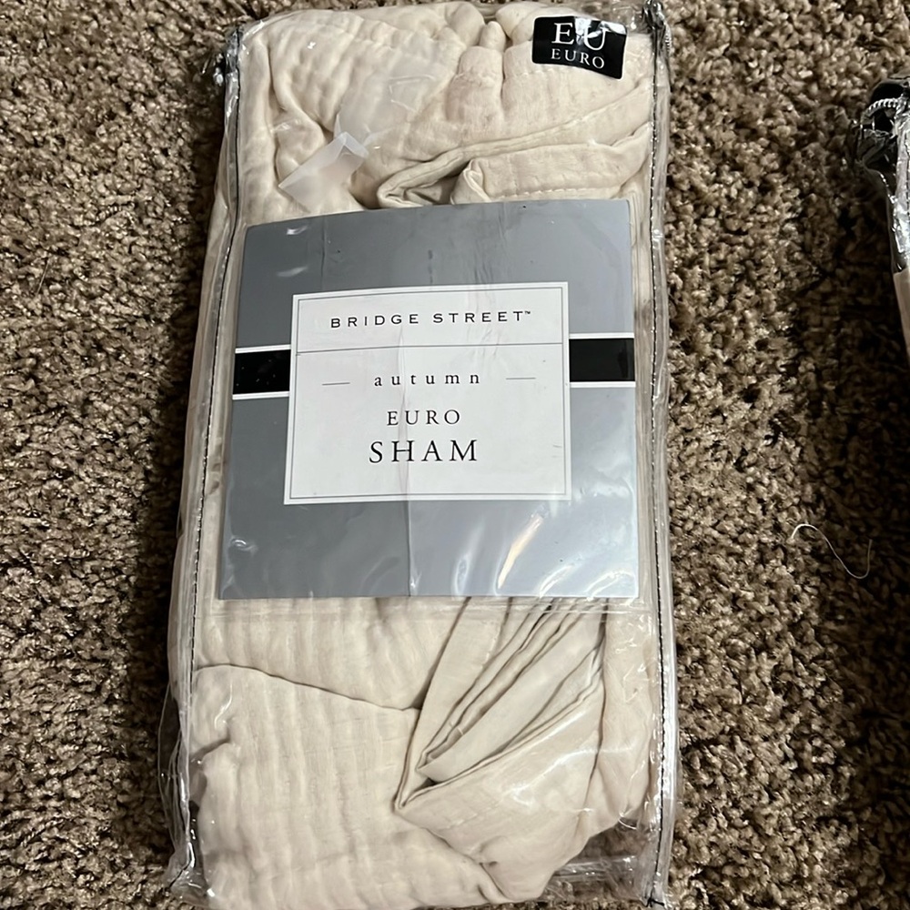 NWT Autumn Euro sham.   Color:Ivory